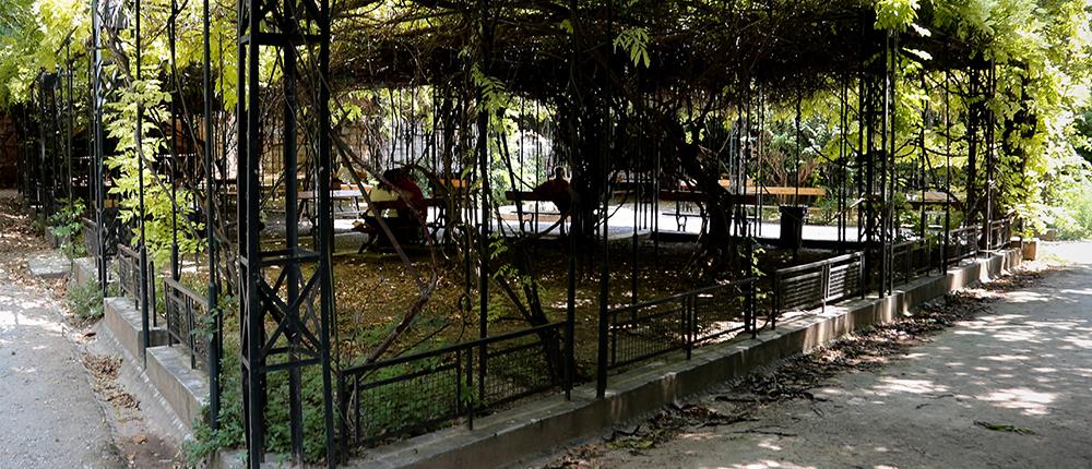 Επίθεση και απόπειρα ληστείας διευθυντή του Μουσείου Μπενάκη μέσα στον Εθνικό Κήπο