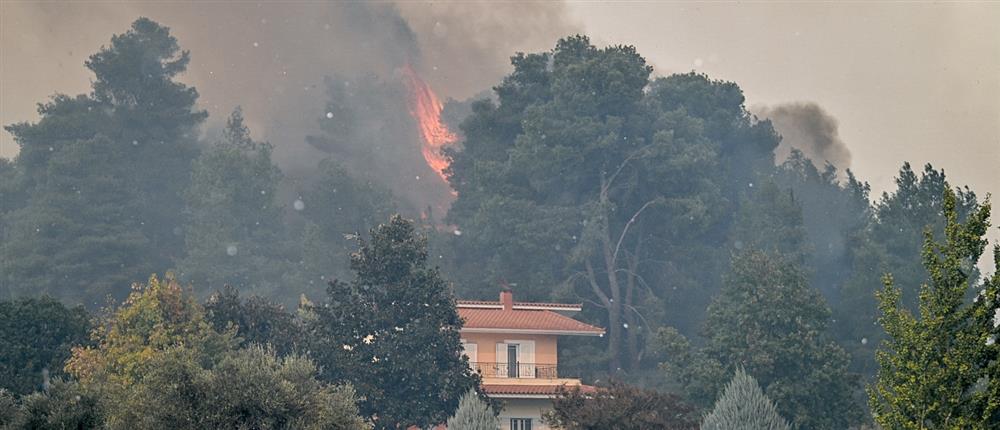 Ηλεία: Φωτιά στο Γεράκι - 'Ηχησε ξανά το 112 