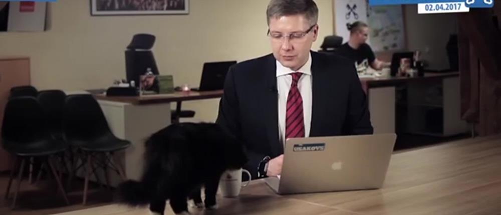 Η γάτα του δημάρχου της Ρίγας “έκλεψε” την παράσταση (βίντεο)
