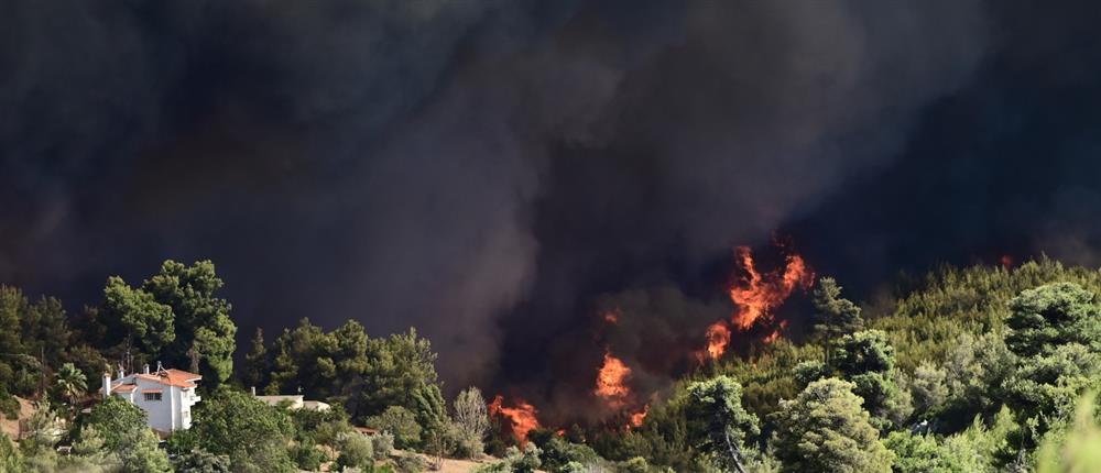 Φωτιά στον Βαρνάβα: Μήνυμα εκκένωσης 112 για τη Σταμάτα Αττικής