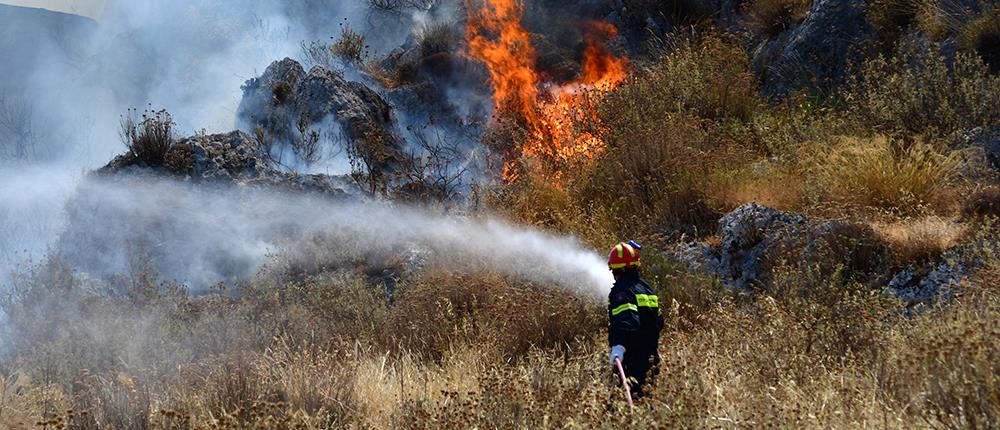 Τραγικό τέλος για γυναίκα που πήγε να κάψει χόρτα