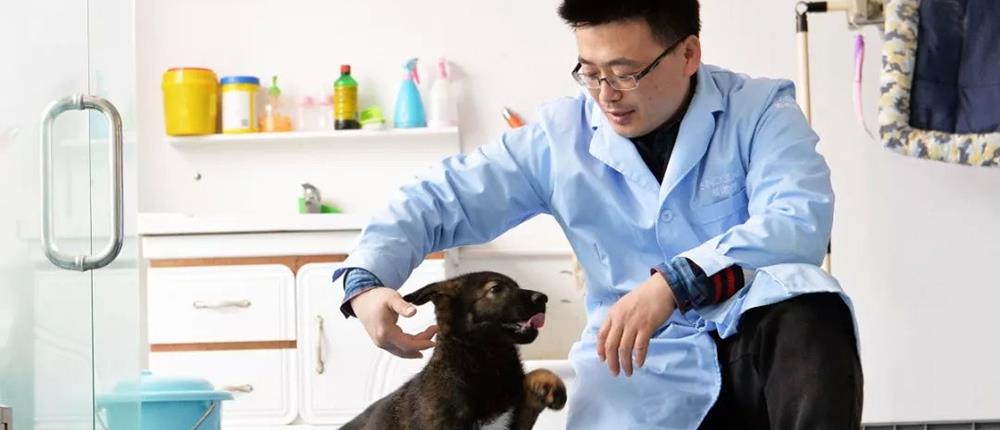 Κινέζοι κλωνοποίησαν τον πρώτο αστυνομικό σκύλο στην Ιστορία