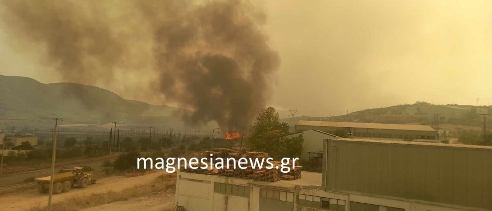 Φωτιά στο Βελεστίνο: Εκκένωση οικισμών - Τραυματίστηκε πυροσβέστης (εικόνα)