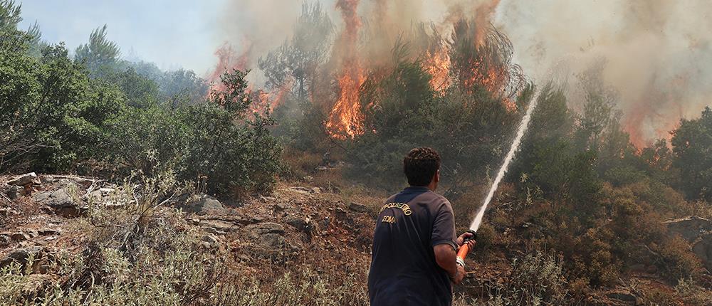 Φωτιά στο Μετόχι Επιδαύρου