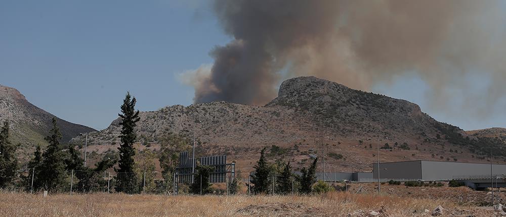 Φωτιά στον Αυλώνα: Πολλές εστίες και προσαγωγές υπόπτων