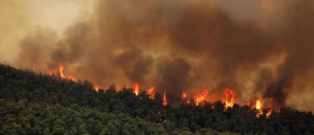 Εμπρησμοί: Μπαράζ συλλήψεων για φωτιές σε όλη τη χώρα