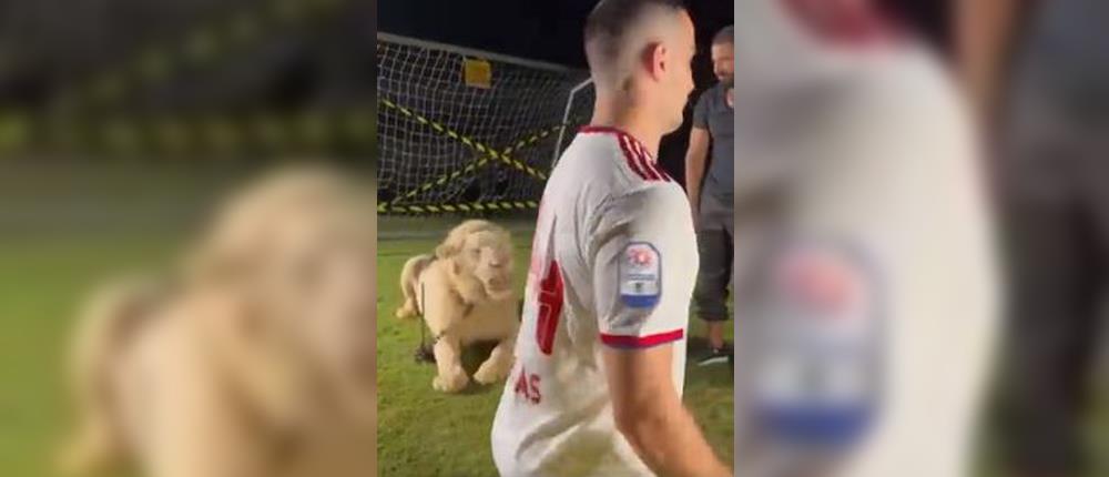 Κώστας Μανωλάς: Τρομοκρατήθηκε από λιοντάρι στην παρουσίαση του (βίντεο)