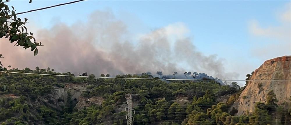 Φονική η φωτιά στο Ξυλόκαστρο - Εντοπίστηκαν δύο νεκροί