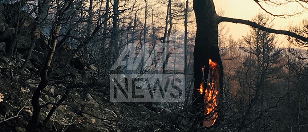 Φωτιά στα Βίλια: σε ύφεση το πύρινο μέτωπο