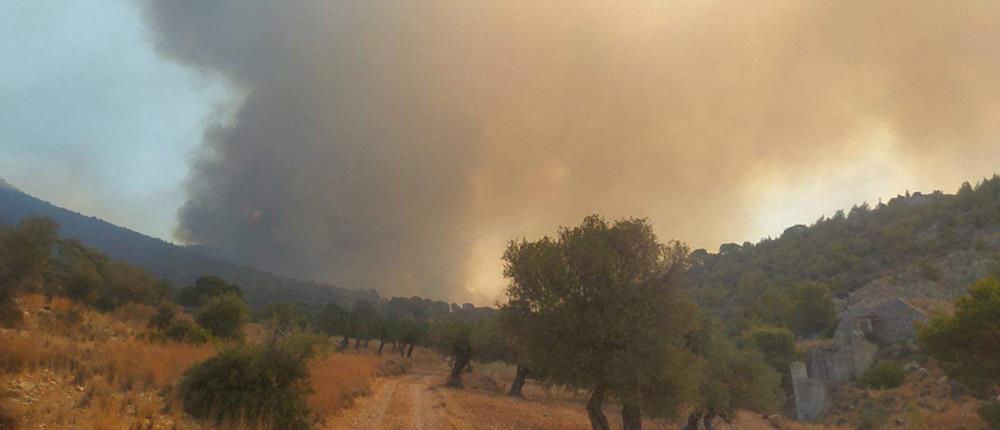 Φωτιά στη Νέα Πέραμο:  Ρίψεις νερού και από αέρος (εικόνες)