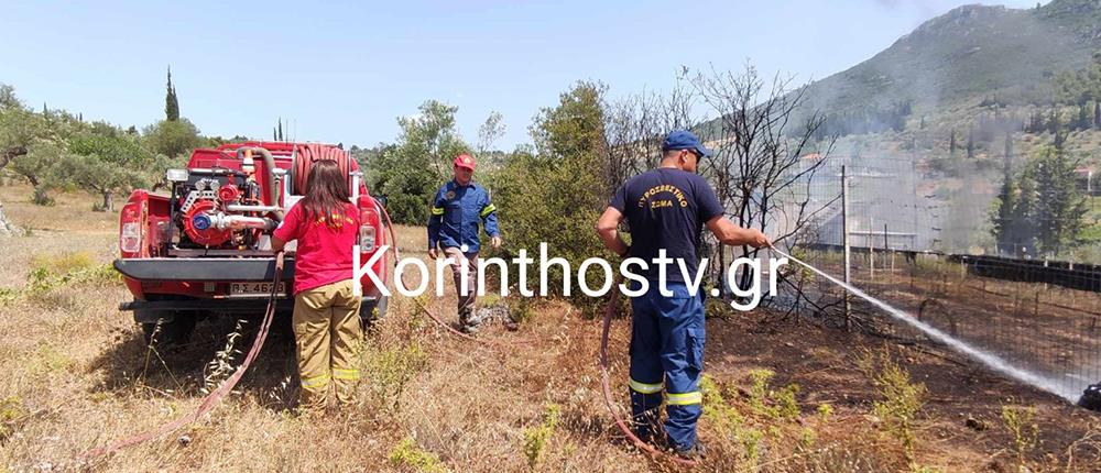 Φωτιά στην Νεμέα (εικόνες)