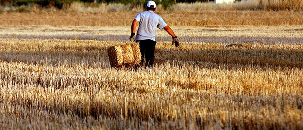 Στην Καρδίτσα μπήκαν οι βάσεις για τη χρήση μεθόδων γεωργίας ακριβείας