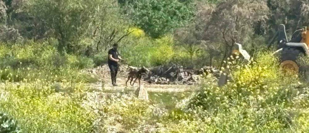 Τέμπη: Με ειδικά εκπαιδευμένους σκύλους η έρευνα στο οικόπεδο (εικόνες)