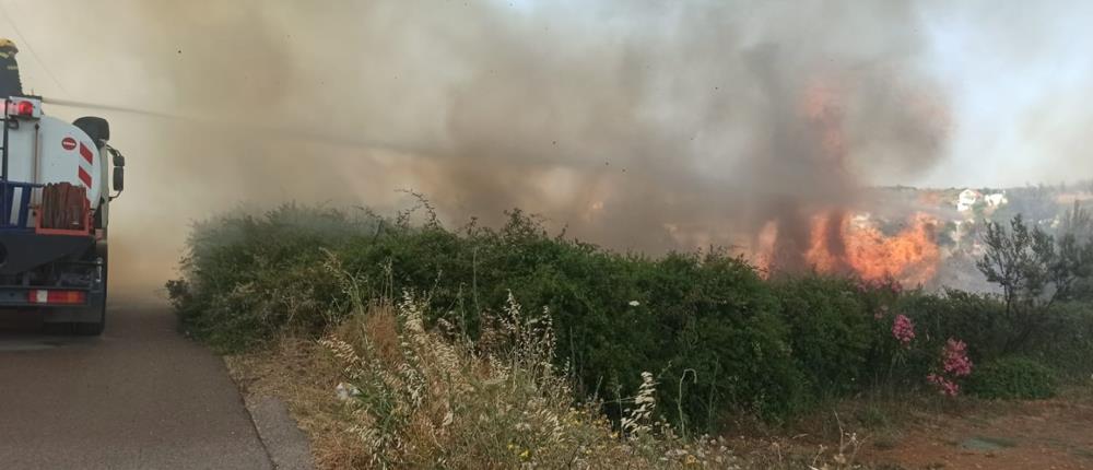 Πολιτική προστασία - Καθαρισμός οικοπέδων: Αυτές είναι οι νέες ρυθμίσεις