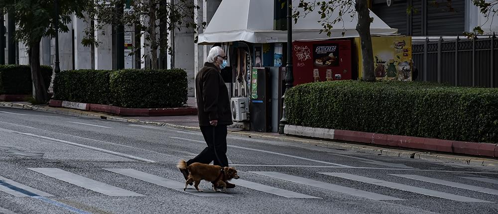 Διασύνδεση της Βάσης Δεδομένων για ζώα συντροφιάς με την ΕΛ.ΑΣ.