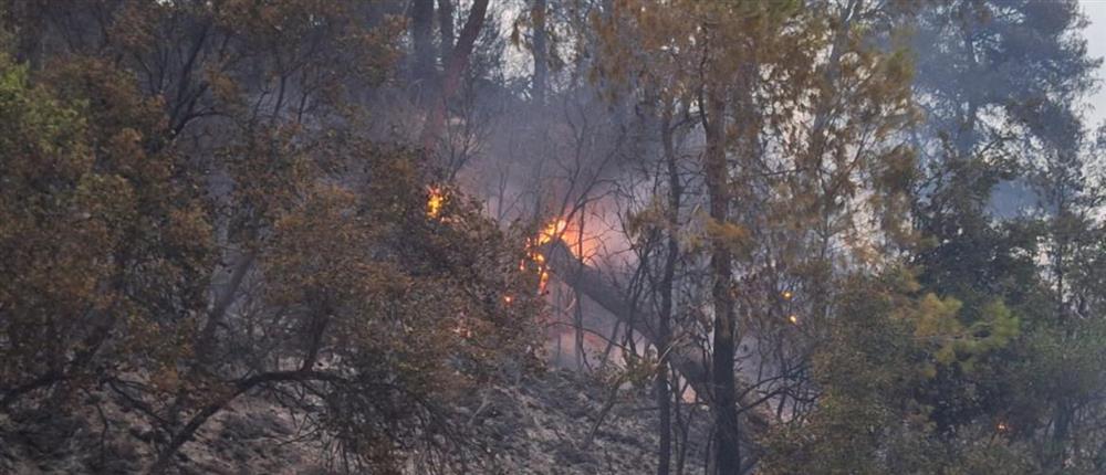 Αχαΐα: Φωτιά στην περιοχή Κεφαλόβρυσο 