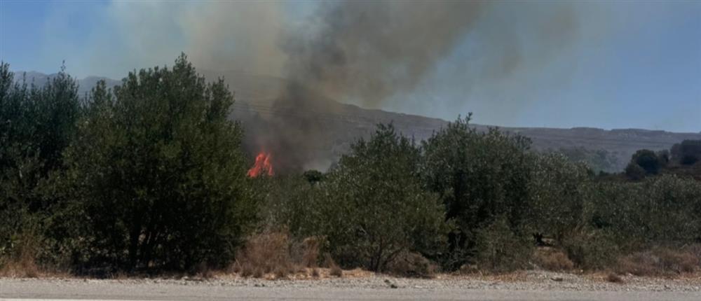 Λέσβος – Φωτιά: Απανθρακωμένο πτώμα εντοπίστηκε σε αυτοκίνητο