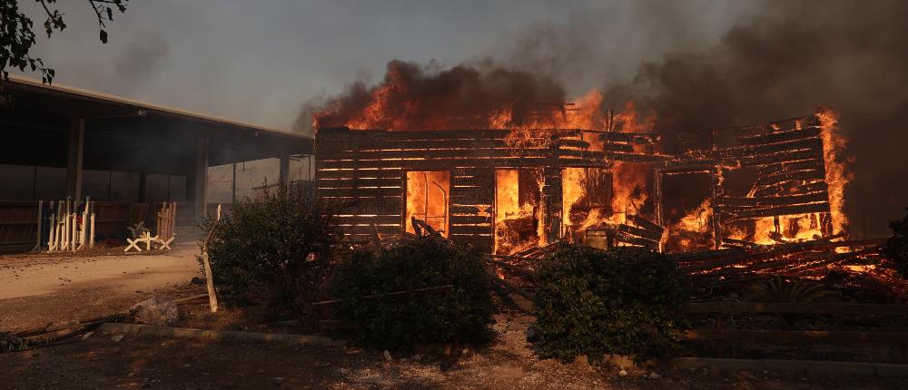 Πυρκαγιές σε Αττική, Λουτράκι, Βοιωτία: εικόνες καταστροφής και μάχη με τις φλόγες (βίντεο)