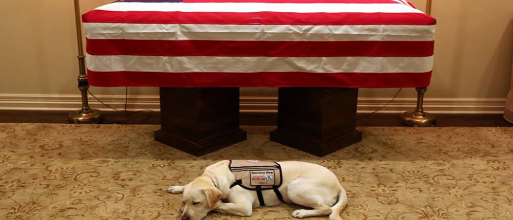 “Ράγισε καρδιές” η φωτογραφία του σκύλου του Μπους μπροστά από το φέρετρο (εικόνες)