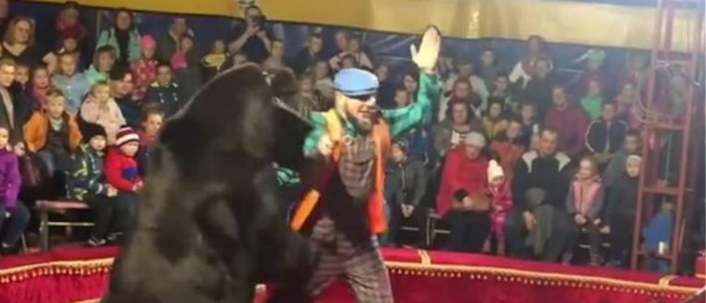 Πανικός σε τσίρκο: Αρκούδα επιτέθηκε σε θηριοδαμαστή (βίντεο)