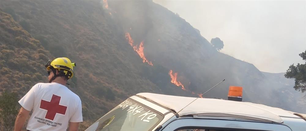 Φωτιά στην Κω - ΕΕΣ: Εθελοντές βοήθησαν στην αντιμετώπιση της πυρκαγιάς (εικόνες)