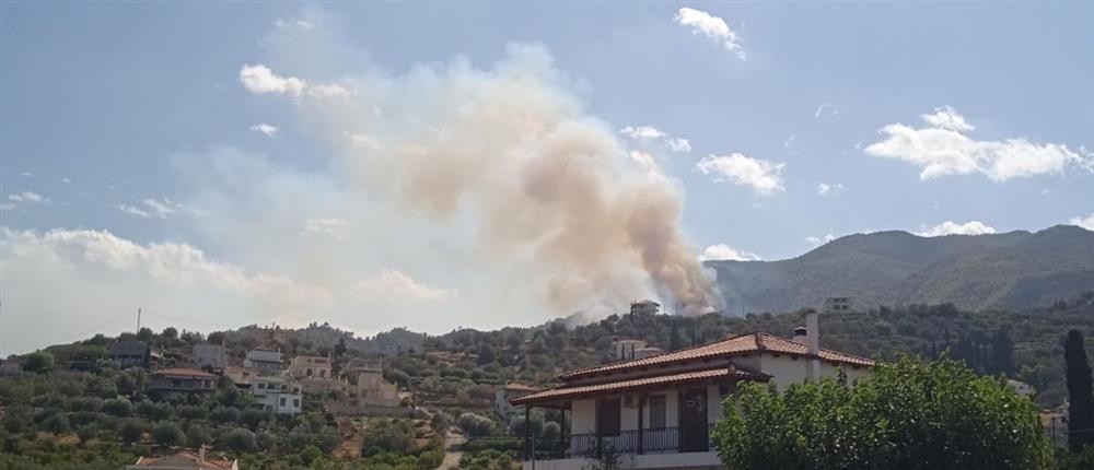 Κόρινθος - Φωτιά: Επιχειρούν εναέρια μέσα - Μηνύματα από το 112 (εικόνες)