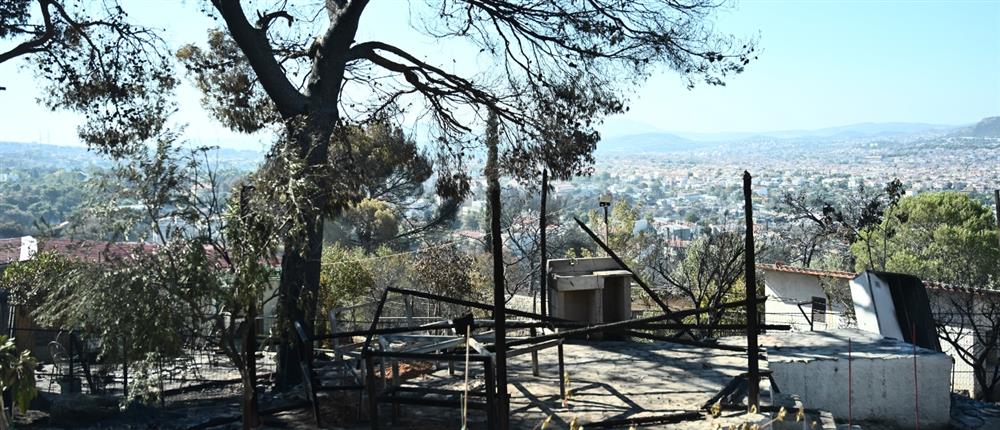 Φωτιά - Βορειοανατολική Αττική - Καταστροφές