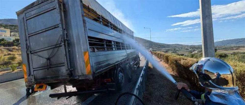 Ιονία Οδός: Φορτηγό με ζώα άρπαξε φωτιά (βίντεο)