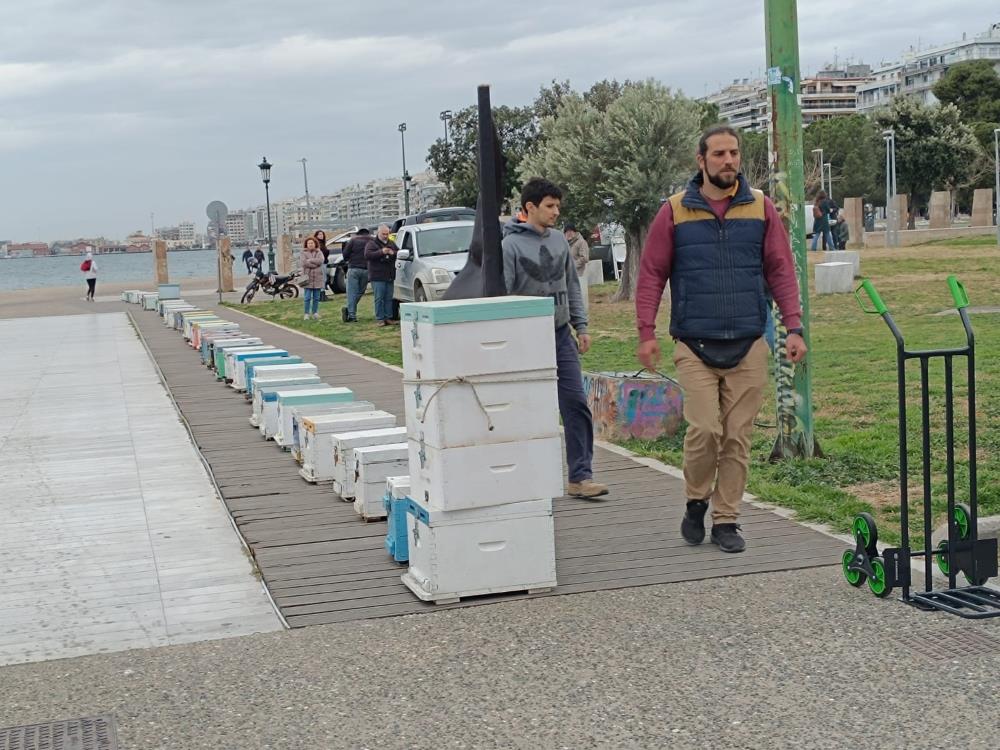 Θεσσαλονίκη: Μελισσοκόμοι έστησαν κυψέλες μπροστά στον Λευκό Πύργο