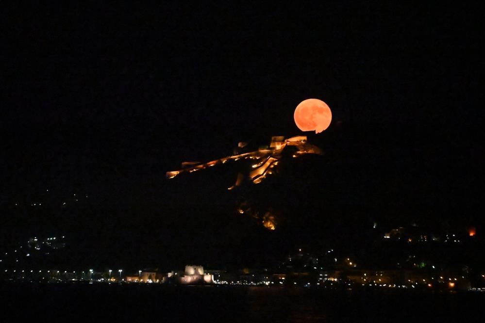 ΠΑΝΣΕΛΗΝΟΣ ΤΟΥ ΕΛΑΦΙΟΥ