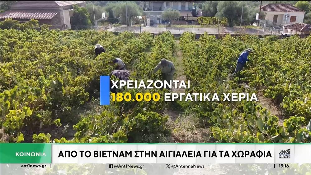 "Ανάσα" στους Έλληνες παραγωγούς και επιχειρηματίες δίνουν εργάτες από το Βιετνάμ
