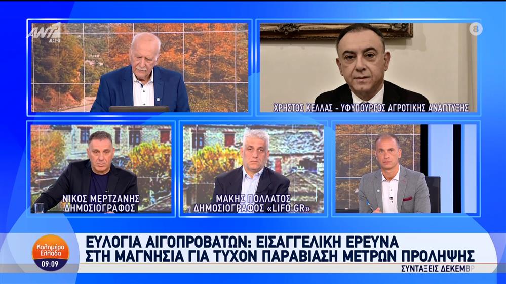 Ο Χρήστος Κέλλας, υφυπουργός αγροτικής ανάπτυξης, στο Καλημέρα Ελλάδα – 08/11/2024