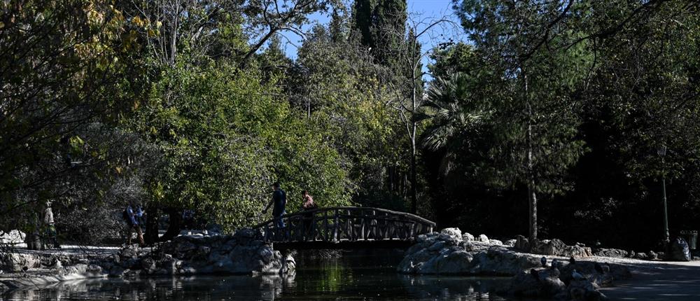 Δήμος ΑΘηναίων: Κλειστός ο Εθνικός Κήπος λόγω ισχυρών ανέμων