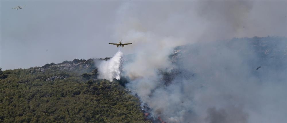 Φωτιά στα Χανιά - Σηκώθηκαν εναέρια μέσα