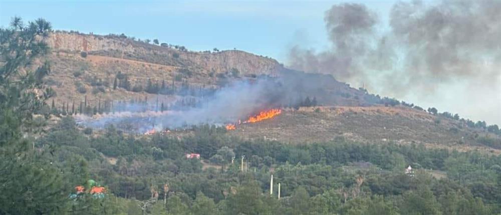 Φωτιά στο Άλσος Βεΐκου: Γιατί προσήχθησαν 3 ανήλικοι 