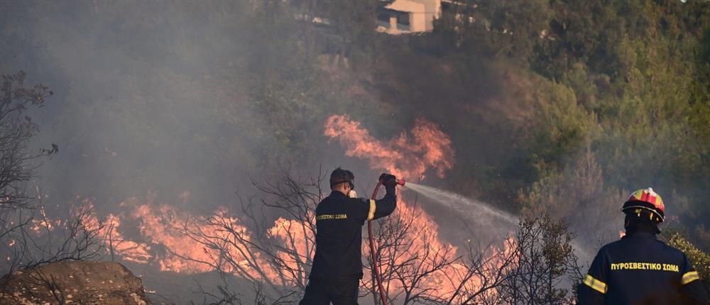 Φωτιές στην Αττική: Σε πλήρη επαναλειτουργία τρεις ψυχιατρικές κλινικές που είχαν εκκενωθεί