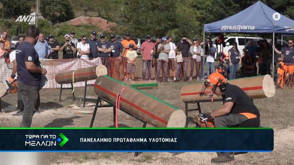 Πανελλήνιο πρωτάθλημα υλοτομίας