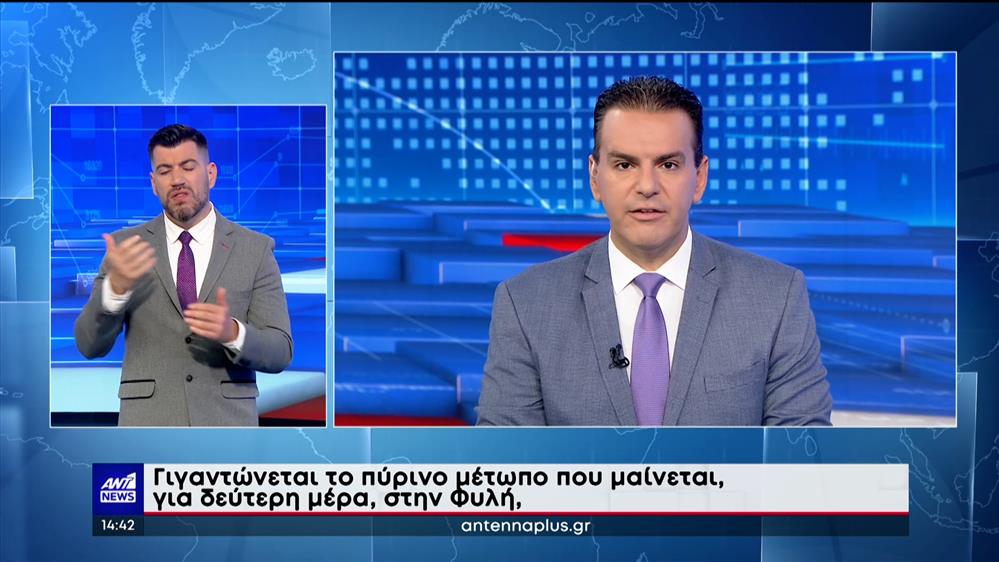 ANT1 NEWS 23-08-2023 ΣΤΗ ΝΟΗΜΑΤΙΚΗ