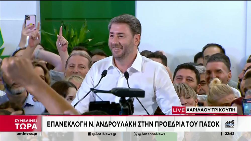 Εκλογές στο ΠΑΣΟΚ: Η επινίκια ομιλία του Νίκου Ανδρουλάκη