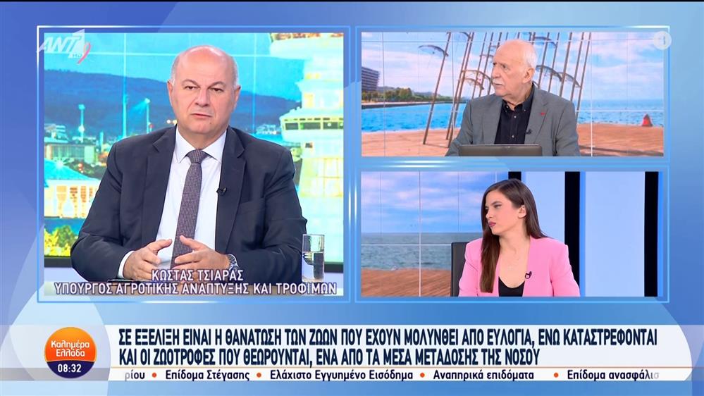 Ο Κώστας Τσιάρας, υπουργός Αγροτικής Ανάπτυξης και Τροφίμων στο Καλημέρα Ελλάδα - 25/10/2024