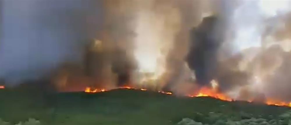 Φωτιές: Η “μάχη” στα “πύρινα μέτωπα” - 45 πυρκαγιές τις τελευταίες ώρες (εικόνες)   