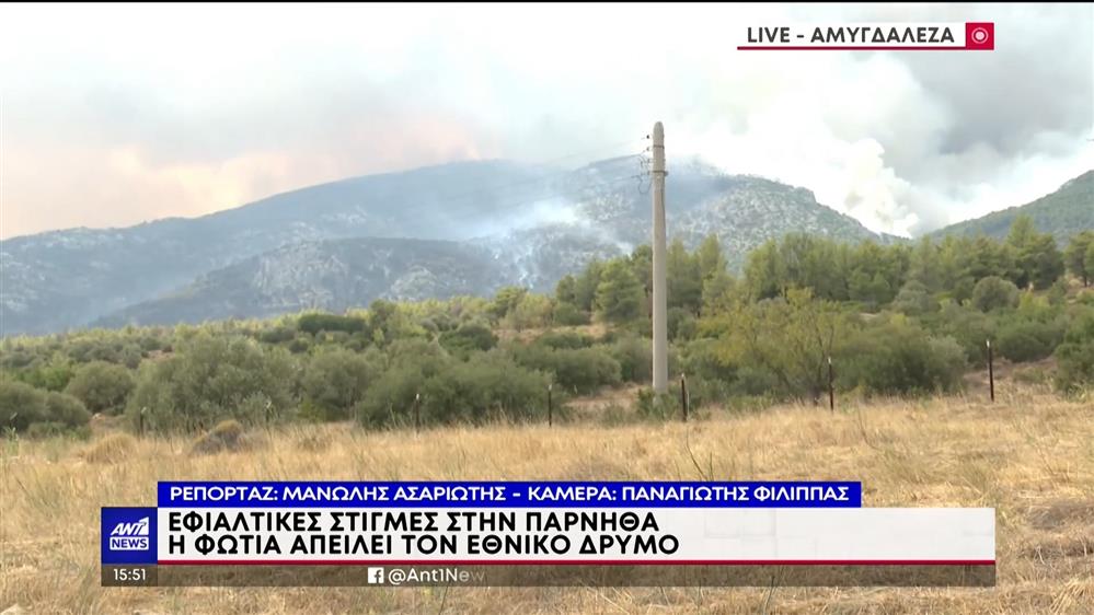ANT1 NEWS ΕΚΤΑΚΤΟ ΔΕΛΤΙΟ 23-08-2023 (15:50)