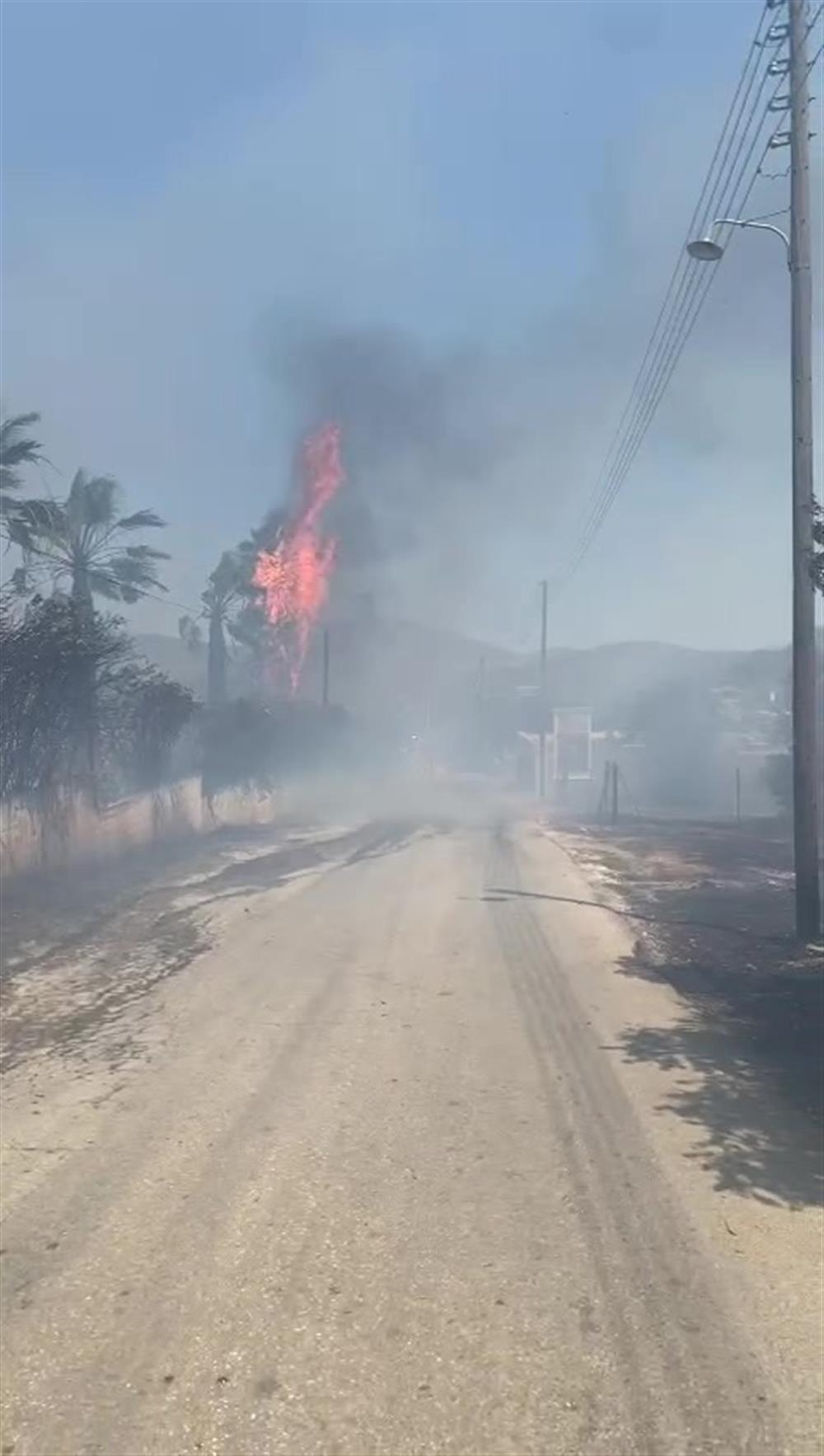 Βάρης - Κορωπίου: Σε αυλές σπιτιών και επιχειρήσεων έφτασαν οι φλόγες