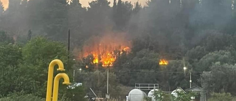 Φωτιά στη Λιβαδειά κοντά στο νοσοκομείο (βίντεο)