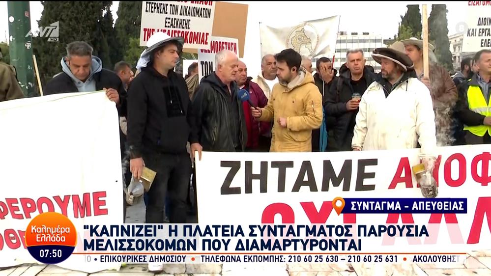 "Καπνίζει" η πλατεία Συντάγματος παρουσία μελισσοκόμων που διαμαρτύρονται – Καλημέρα Ελλάδα – 22/02/2024