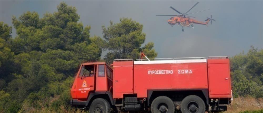 Φωτιά στο Νευροκόπι: Σε εξέλιξη για δεύτερη μέρα, παρά τις βροχοπτώσεις!