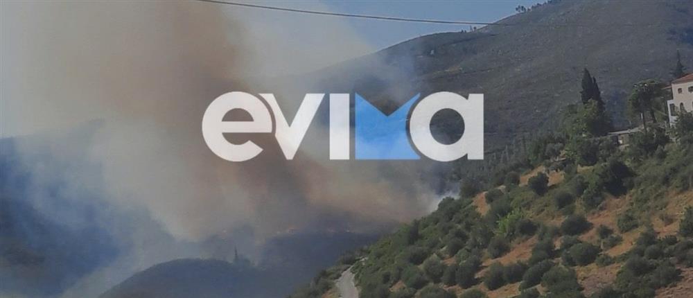 Εύβοια: Φωτιά στο Κοντοδεπότι - Πληροφορίες για πυροσβεστικό που κάηκε (εικόνες)