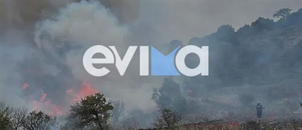 Φωτιά στην Εύβοια - Μήνυμα του 112 στους κατοίκους του Αλμυροποτάμου (εικόνες)