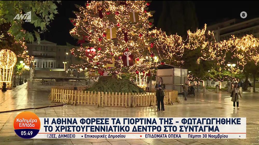 Στα γιορτινά η Αθήνα: Φωταγωγήθηκε το χριστουγεννιάτικο δέντρο - Καλημέρα Ελλάδα - 24/11/2023