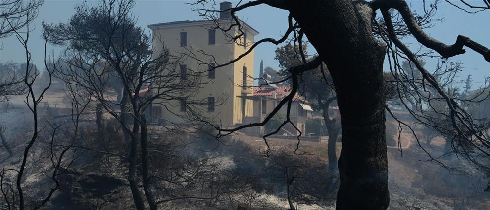 Φωτιές στην Αττική - Μαρινάκης: Απαντήσεις σε 6 ερωτήματα